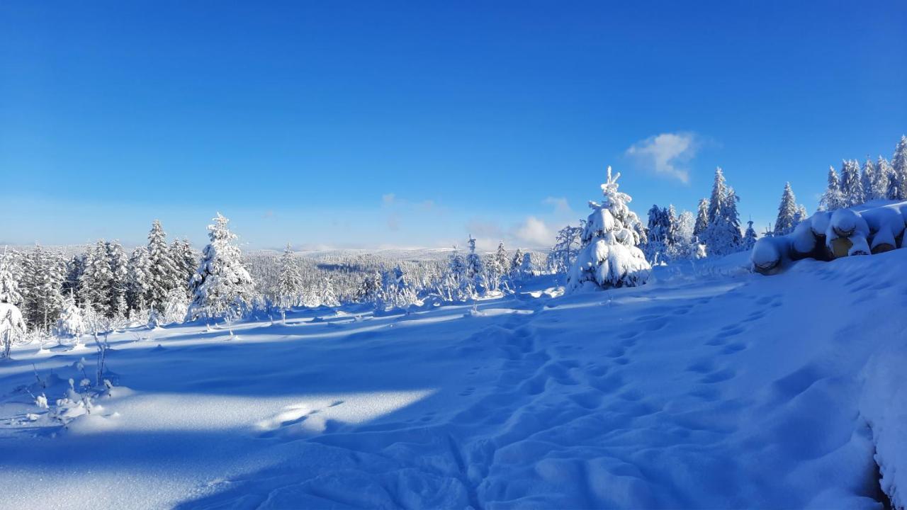 Les Dryades Gérardmer Exteriör bild