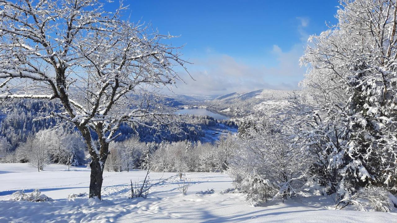 Les Dryades Gérardmer Exteriör bild