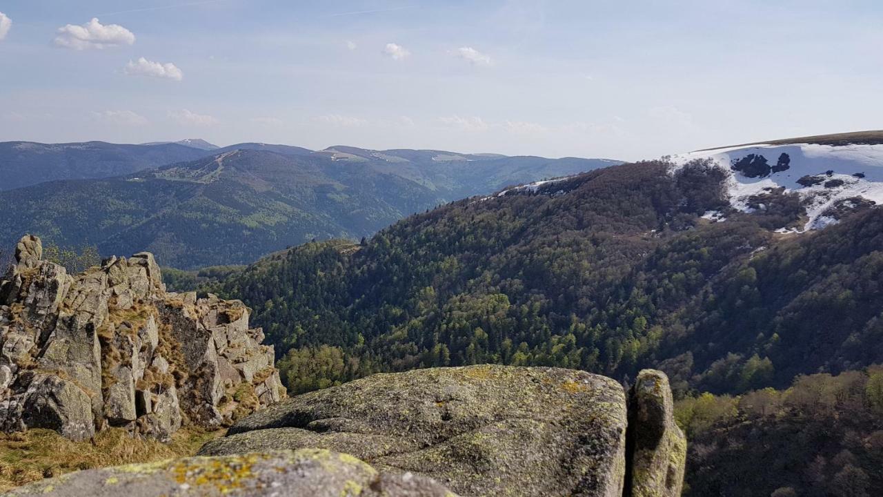Les Dryades Gérardmer Exteriör bild