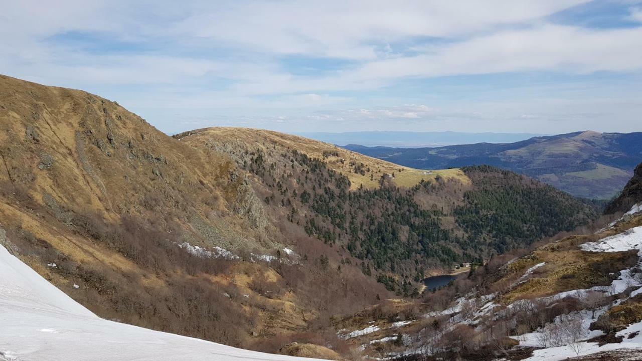 Les Dryades Gérardmer Exteriör bild