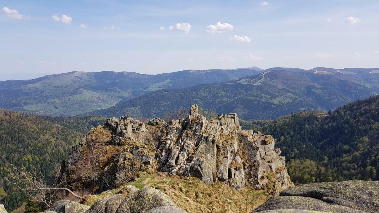 Les Dryades Gérardmer Exteriör bild